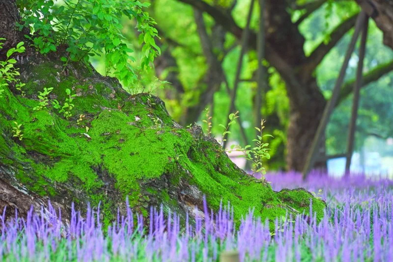 %EC%84%B1%EB%B0%96%EC%88%B2%EB%A7%A5%EB%AC%B8%EB%8F%99_%285%29.jpg?type=w1200