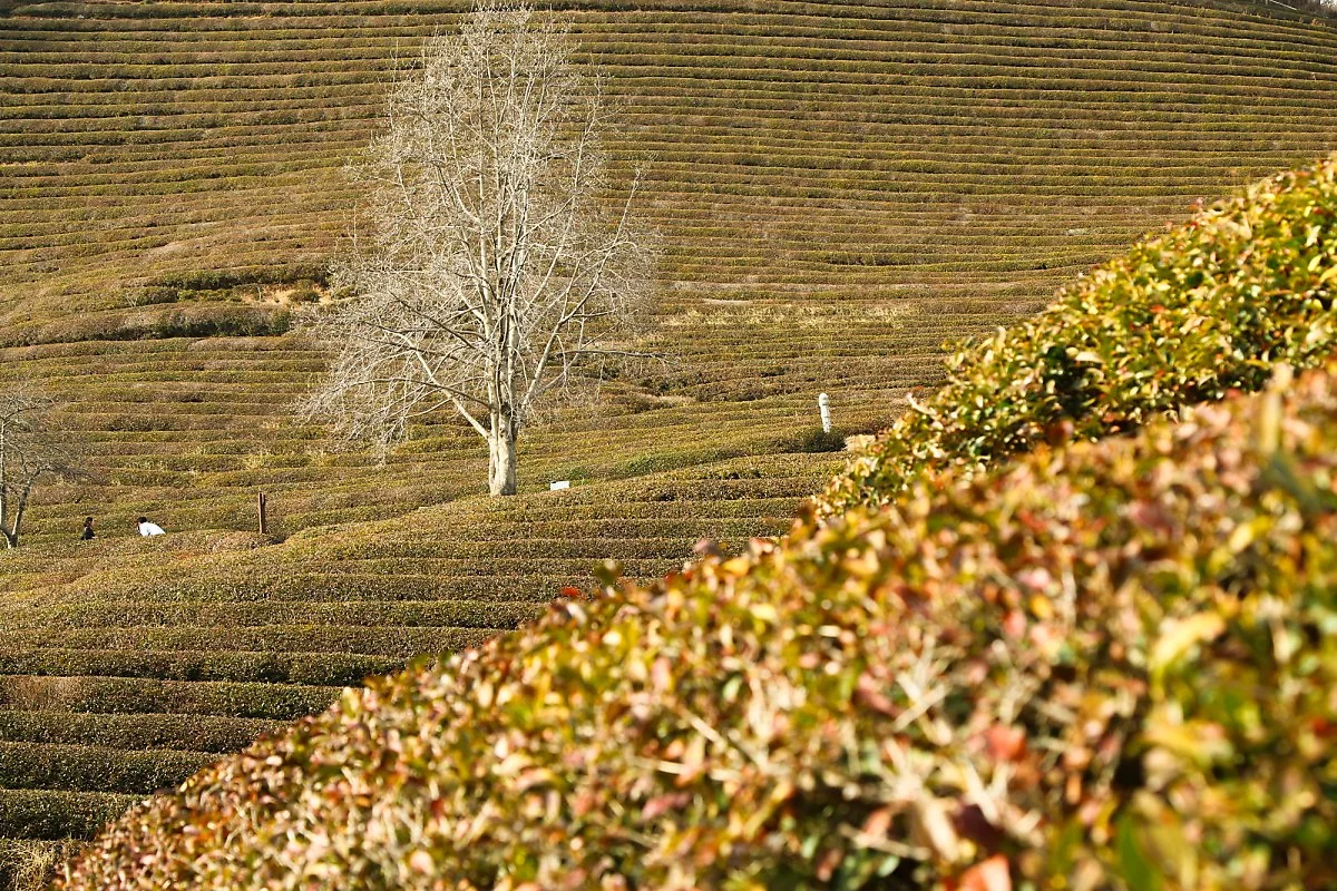 %EB%8C%80%ED%95%9C%EB%8B%A4%EC%9B%90_%284%29.jpg?type=w1200