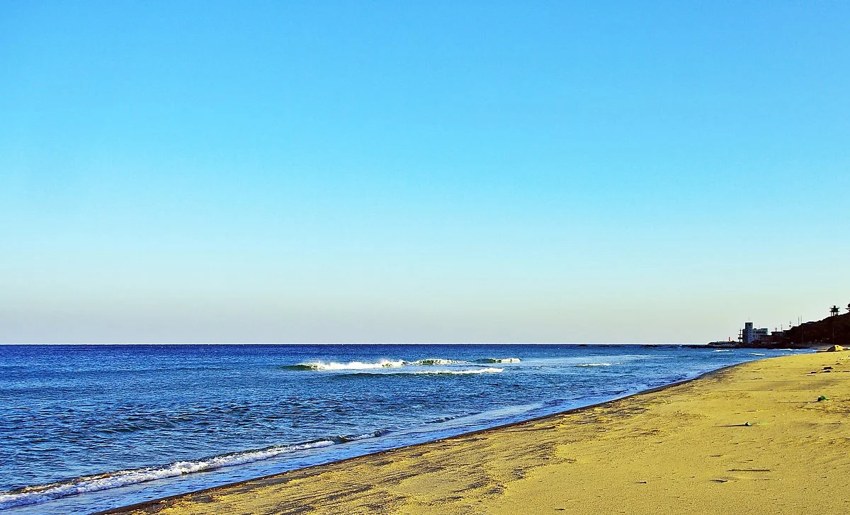 %EA%B3%A0%EB%9E%98%EB%B6%88%ED%95%B4%EB%B3%80..JPG?type=w1200