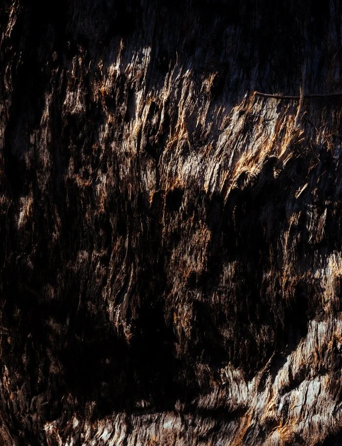 %EA%B7%B8%EB%9E%A8%ED%94%BC%EC%96%B8%EC%8A%A4_%EA%B5%AD%EB%A6%BD%EA%B3%B5%EC%9B%90_%282%29.jpg?type=w1200