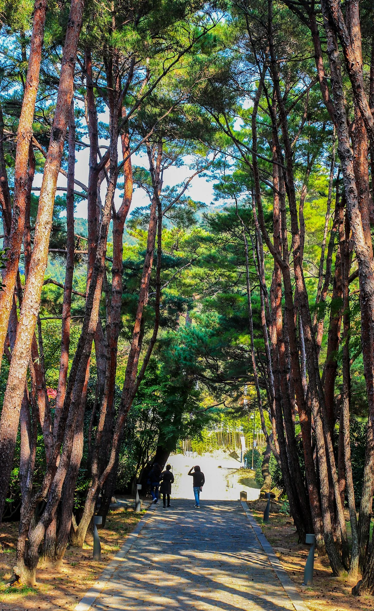 %EC%9D%B4%EC%88%9C%EC%8B%A0%EC%88%9C%EA%B5%AD%EA%B3%B5%EC%9B%90_%EC%9D%B4%EB%9D%BD%EC%82%AC_%EA%B0%80%EB%8A%94%EA%B8%B8.jpg?type=w1200