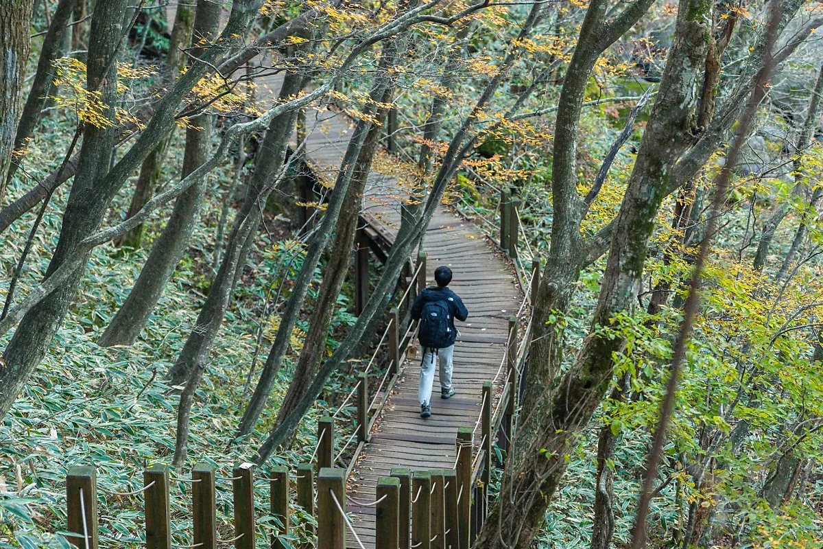 %ED%95%9C%EB%9D%BC%EC%82%B0_%EA%B4%80%EC%9D%8C%EC%82%AC%EC%BD%94%EC%8A%A4_%ED%83%90%EB%9D%BC%EA%B3%84%EA%B3%A1.jpg?type=w1200