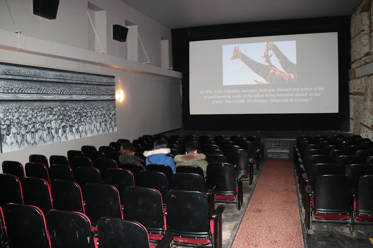 44.Gorge Cinema-6.JPG