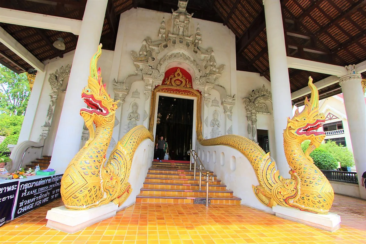 03%EC%99%93_%EC%A9%A8%EB%94%94%EB%A3%A8%EC%95%99_%283%29.JPG?type=w1200