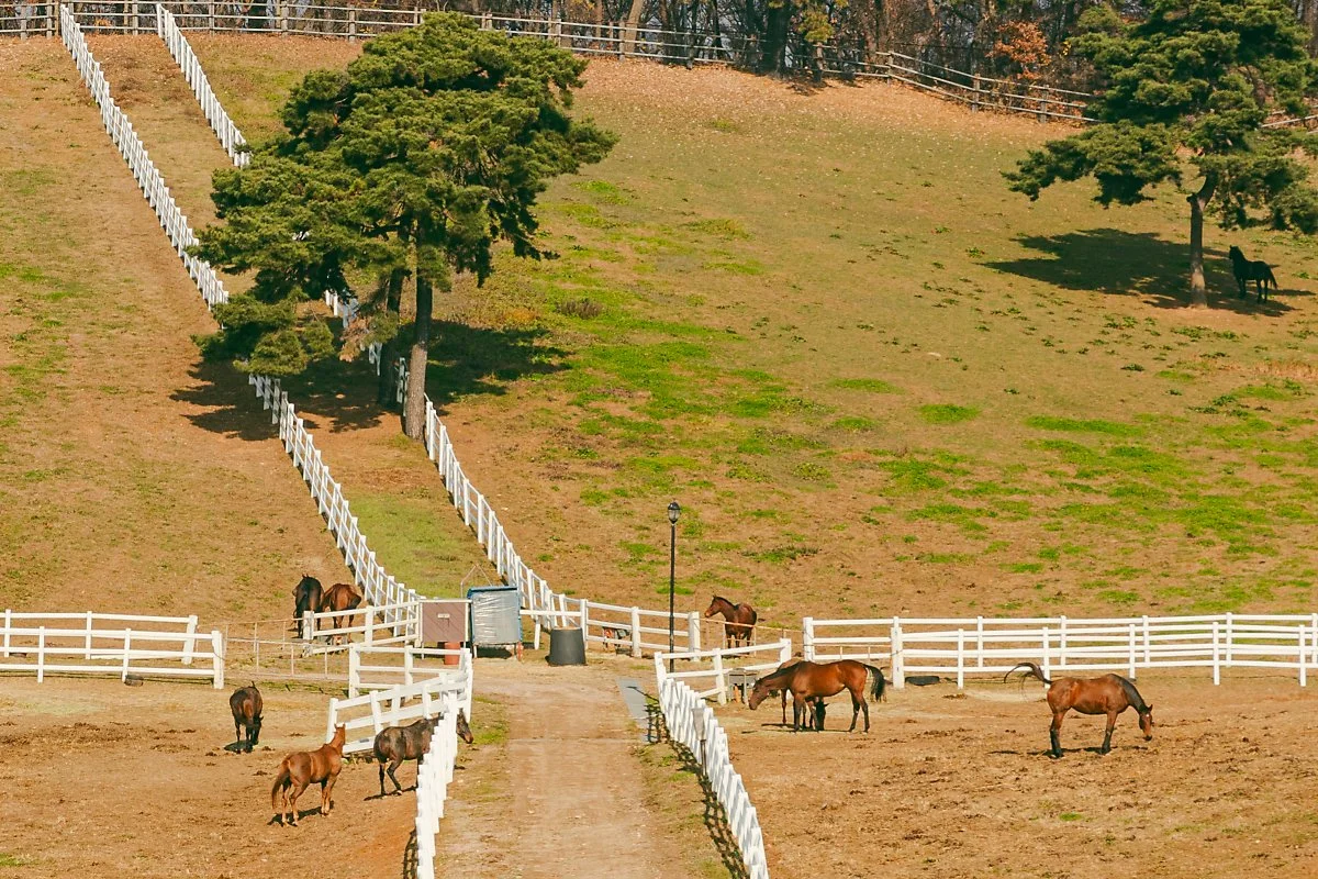 d_%EB%A0%9B%EC%B8%A0%EB%9F%B0%ED%8C%9C_%EC%9B%90%EB%8B%B9.jpg?type=w1200