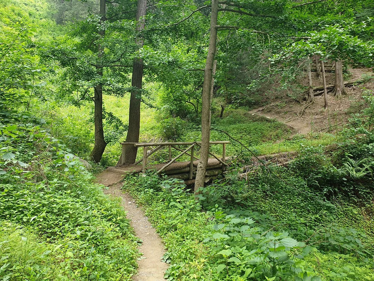 20190530_134806.jpg?type=w1200