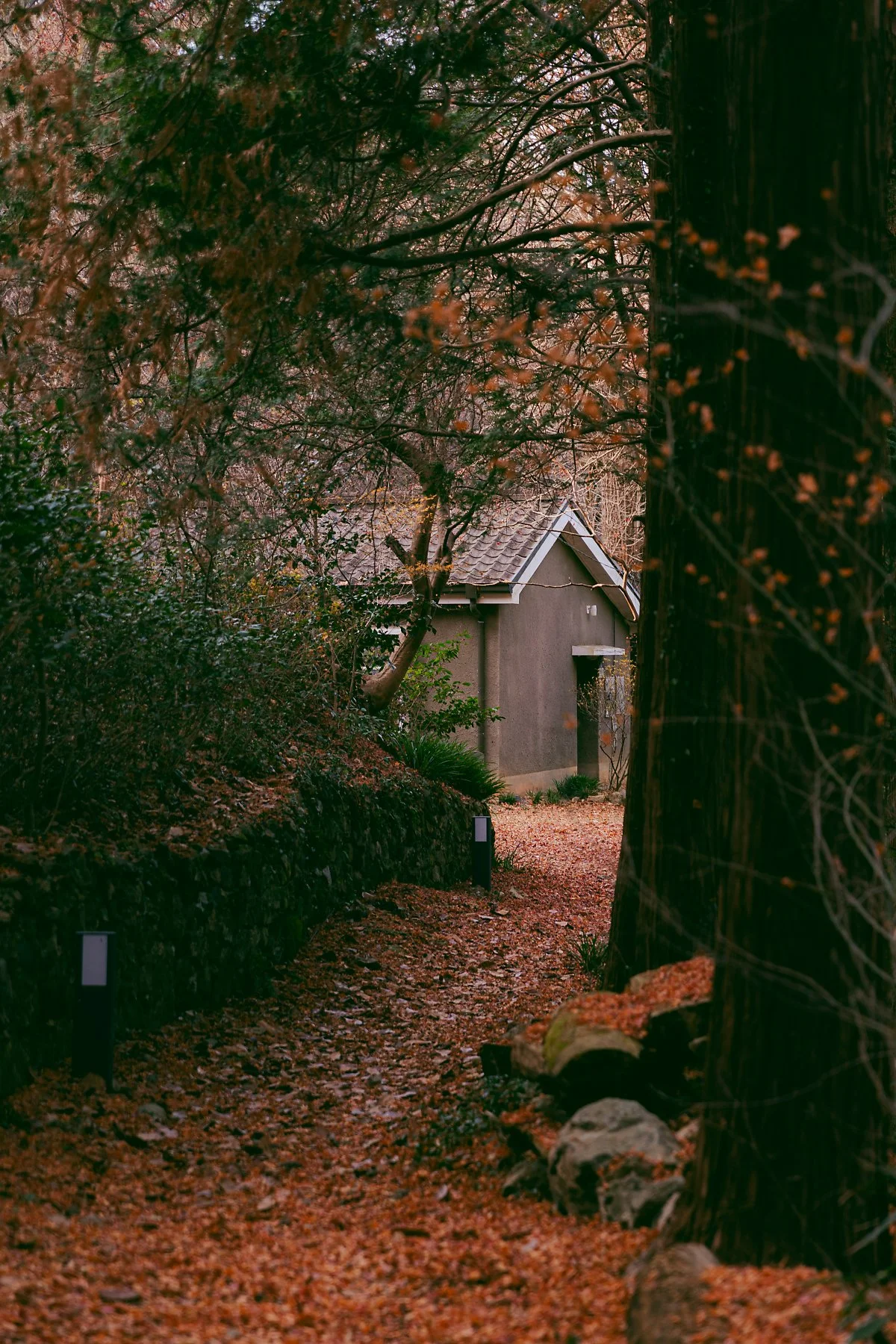 d_%ED%97%88%EB%B0%B1%EB%A0%A8%EC%B6%98%EC%84%A4%ED%97%8C_2.jpg?type=w1200