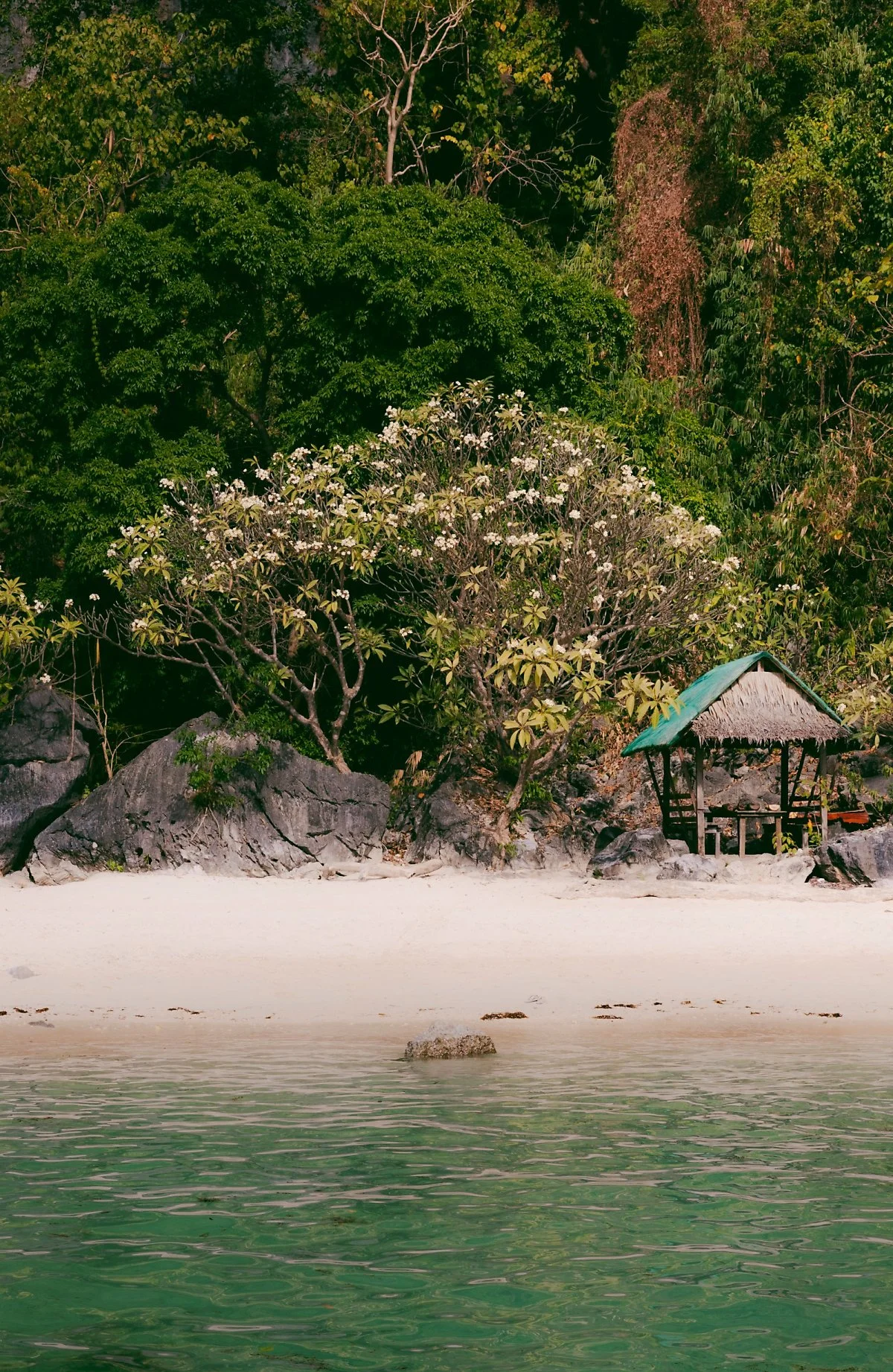 image_9873526091707115157341.jpg?type=w1200