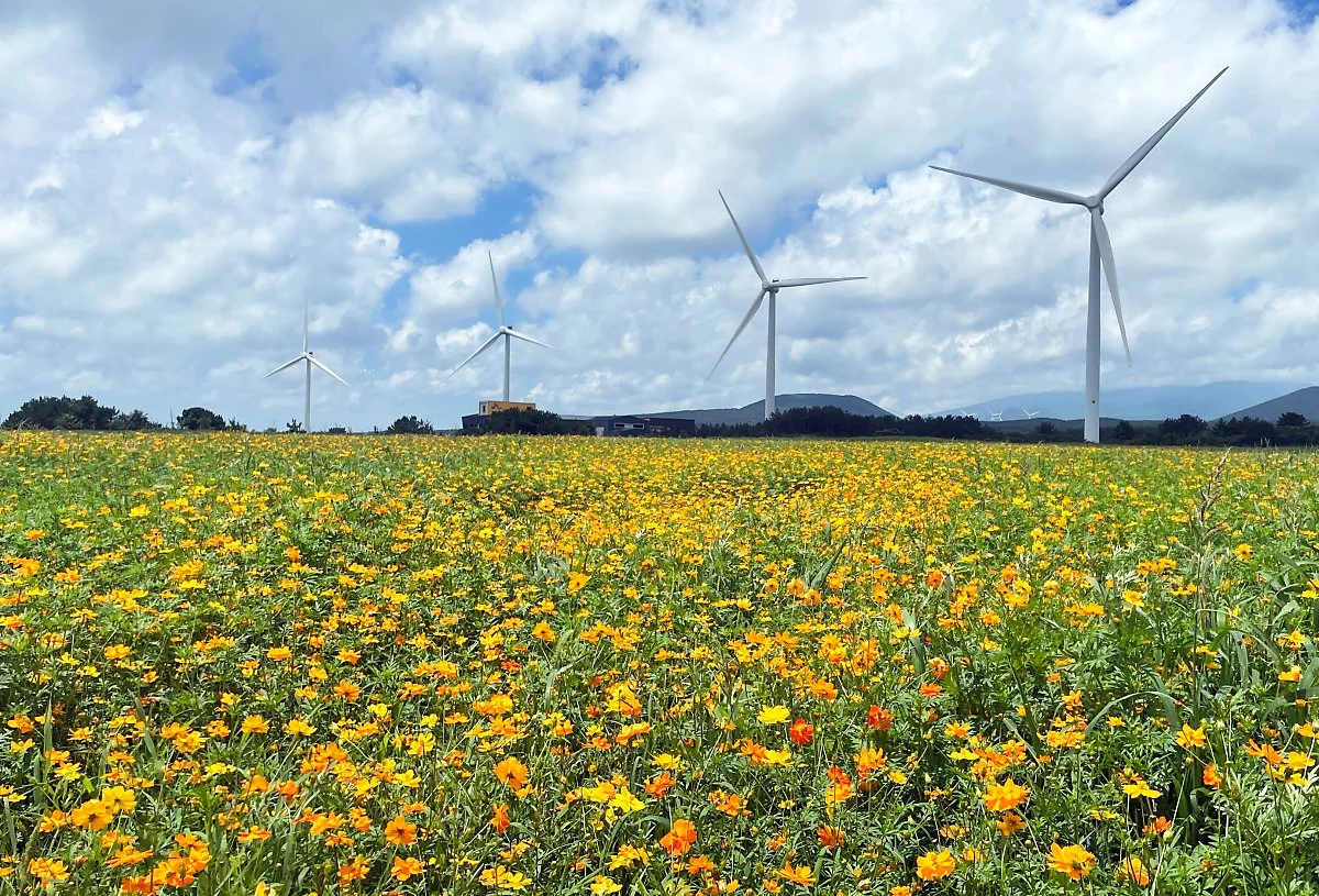 %EA%B0%80%EC%8B%9C%EB%A6%AC_%EC%BD%94%EC%8A%A4%EB%AA%A8%EC%8A%A4%EB%8B%A8%EC%A7%80_%282%29.JPG?type=w1200