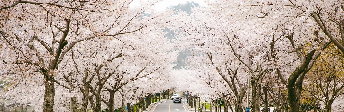 686A9598_1.jpg?type=w1200