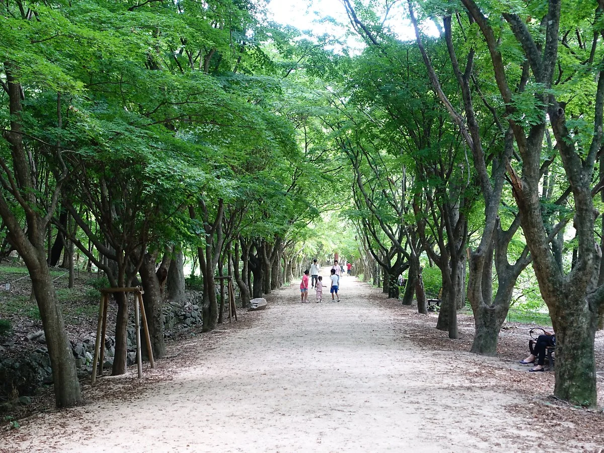 %EB%82%B4%EC%9E%A5%EC%82%AC201808%EA%B9%80%EC%84%A0%EC%A3%BC_%28104%29.JPG?type=w1200