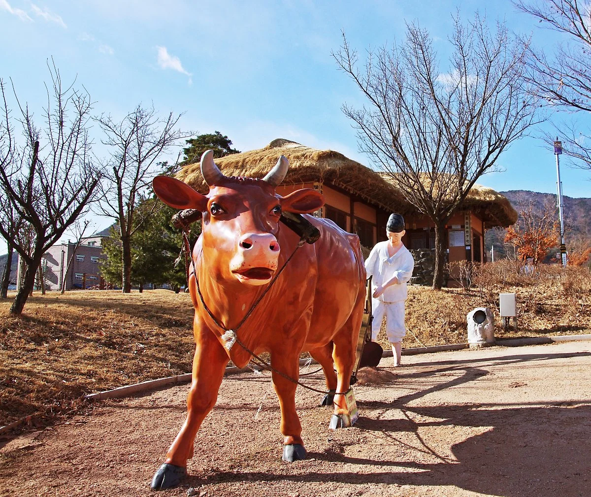 %EC%9D%98_%EC%A2%8B%EC%9D%80_%ED%98%95%EC%A0%9C_%EA%B3%B5%EC%9B%90_%EC%A1%B0%ED%98%95%EB%AC%BC.JPG?type=w1200