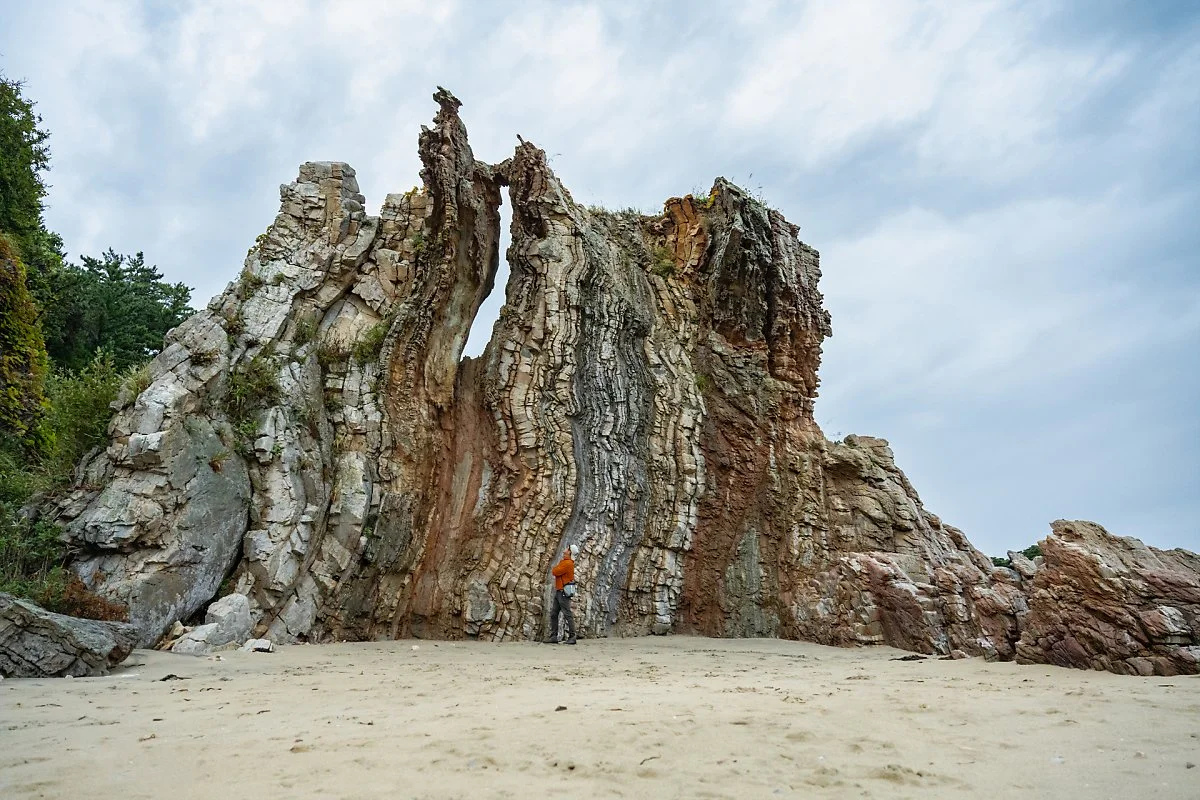 %EB%8C%80%EC%B2%AD%EB%8F%84_%EB%82%98%EC%9D%B4%ED%85%8C%EB%B0%94%EC%9C%84_%281%29.jpg?type=w1200