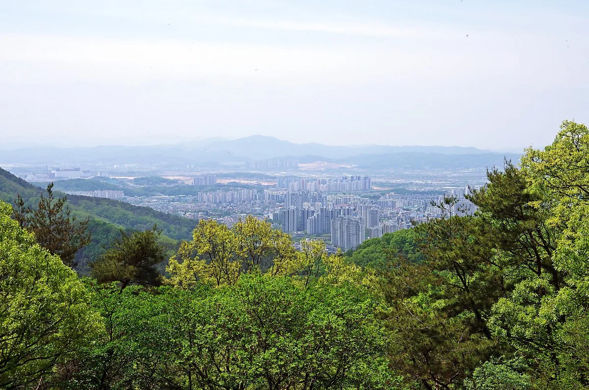 %EC%83%81%EB%8B%B9%EC%82%B0%EC%84%B1%EC%98%9B%EA%B8%B8%EC%9D%84_%EA%B1%B7%EB%8B%A4_%EB%A7%8C%EB%82%9C_%EC%8B%9C%EC%95%BC%EA%B0%80_%ED%84%B0%EC%A7%80%EB%8A%94_%EA%B3%B3._%EC%95%84%EB%93%9D%ED%95%9C_%EC%B2%AD%EC%A3%BC_%EB%8F%84%EC%8B%9C_%ED%92%8D.JPG?type=w1200