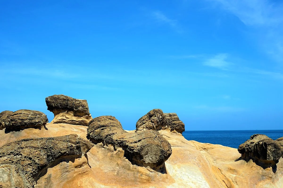 01%EC%98%88%EB%A6%AC%EC%9A%B0_%EC%83%9D%EA%B0%95%EB%B0%94%EC%9C%84.JPG?type=w1200