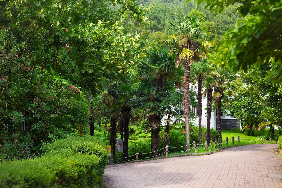 d_%ED%95%9C%EB%9D%BC%EC%88%98%EB%AA%A9%EC%9B%90_2.jpg?type=w1200