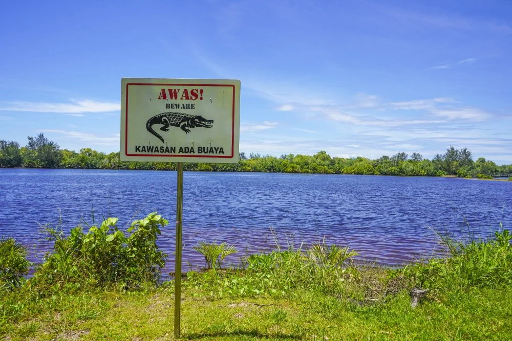 %EC%95%85%EC%96%B4_%EC%A3%BC%EC%9D%98_%EC%95%88%EB%82%B4%ED%8C%90.JPG?type=w1200