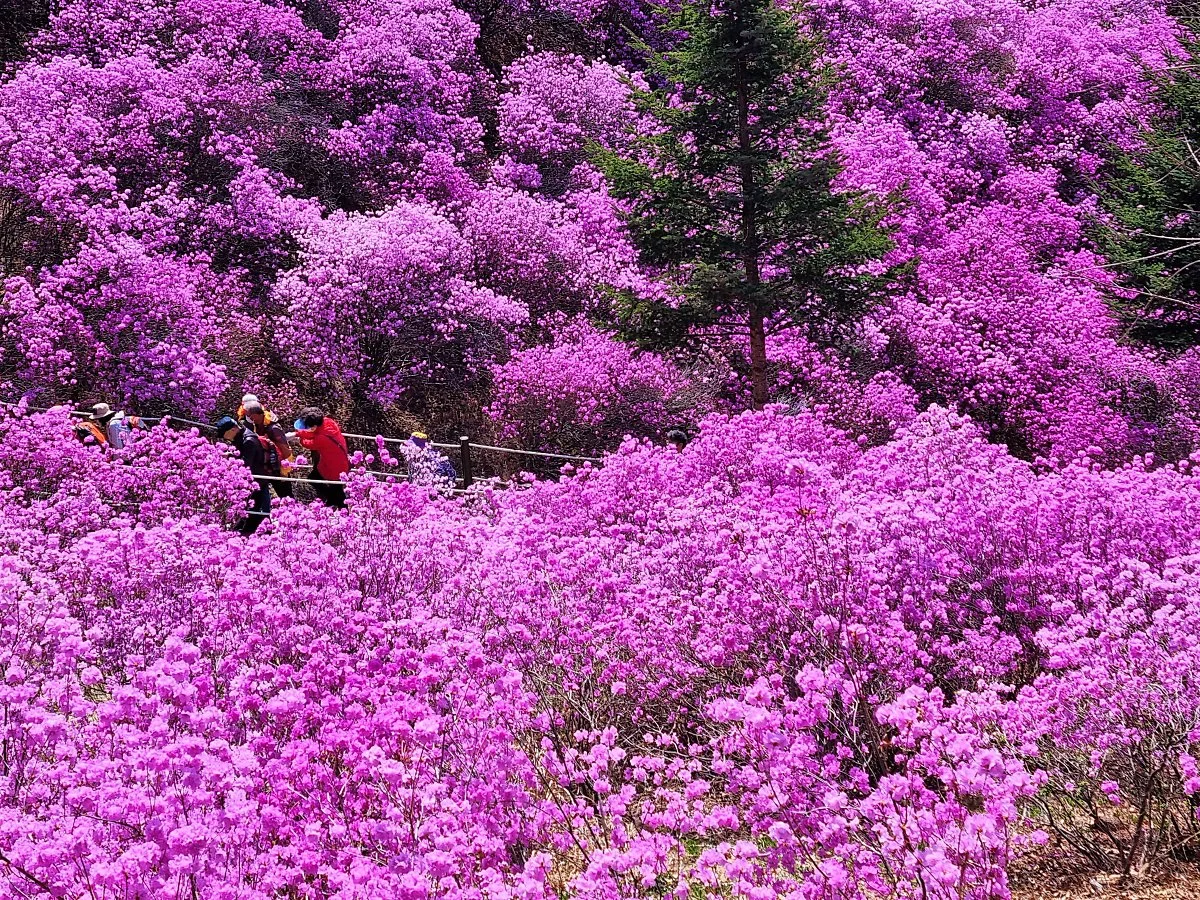 01%EC%9B%90%EB%AF%B8%EC%82%B0_%282%29.jpg?type=w1200