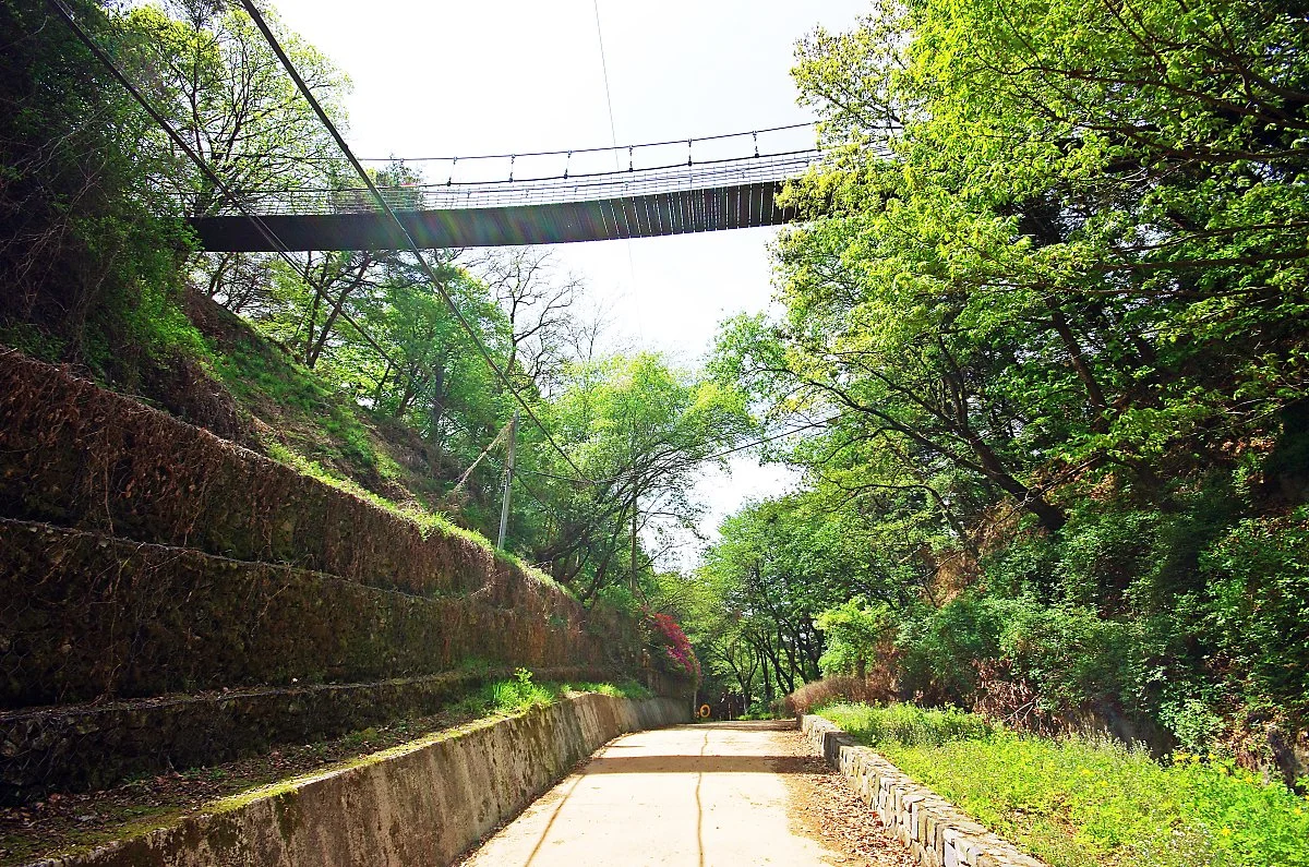 %EC%83%81%EB%8B%B9%EC%82%B0%EC%84%B1%EC%98%9B%EA%B8%B8_%EA%B3%A0%EA%B0%AF%EB%A7%88%EB%A3%A8_%EC%9C%84%EC%97%90_%EB%86%93%EC%9D%B8_%EC%B6%9C%EB%A0%81%EB%8B%A4%EB%A6%AC.JPG?type=w1200