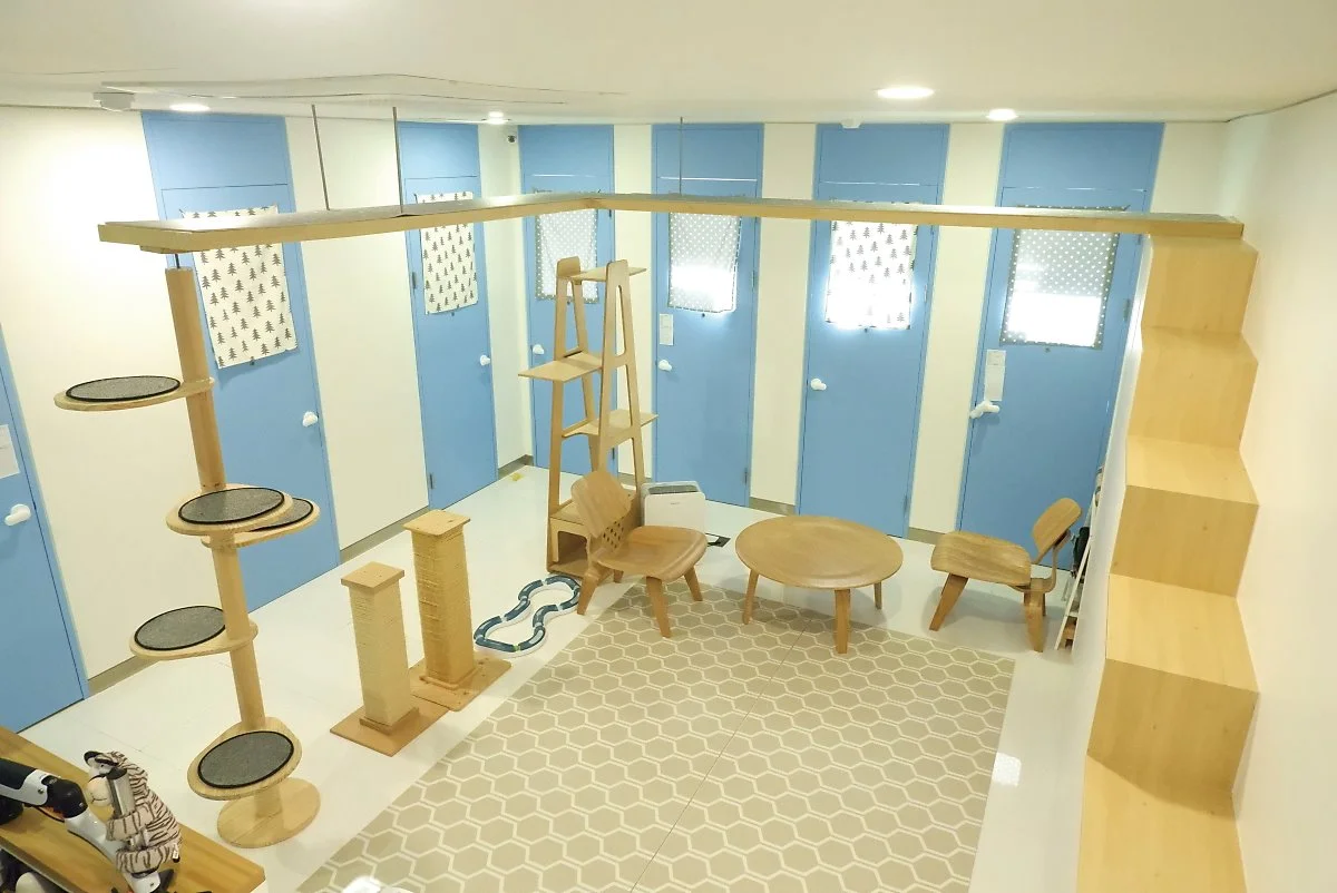 %EA%B3%A0%EC%96%91%EC%9D%B4%EB%A5%BC_%EB%B6%80%ED%83%81%ED%95%B4.JPG?type=w1200