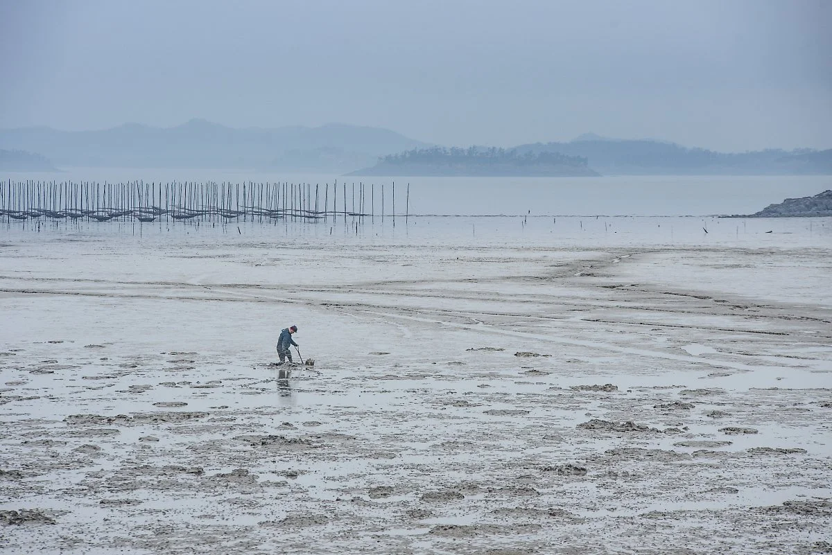 %EA%B0%9C%ED%8E%84%EC%97%90%EC%84%9C_%EB%82%99%EC%A7%80_%EC%9E%A1%EC%9D%B4%EC%97%90_%EB%82%98%EC%84%A0_%EB%85%B8%EC%9D%B8.jpg?type=w1200