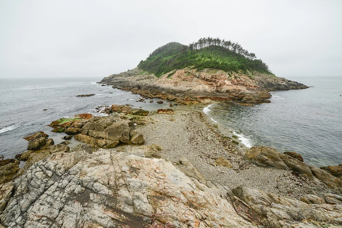 %EB%8B%A4%EB%AC%B4%EB%9E%98%EB%AF%B8.jpg?type=w1200