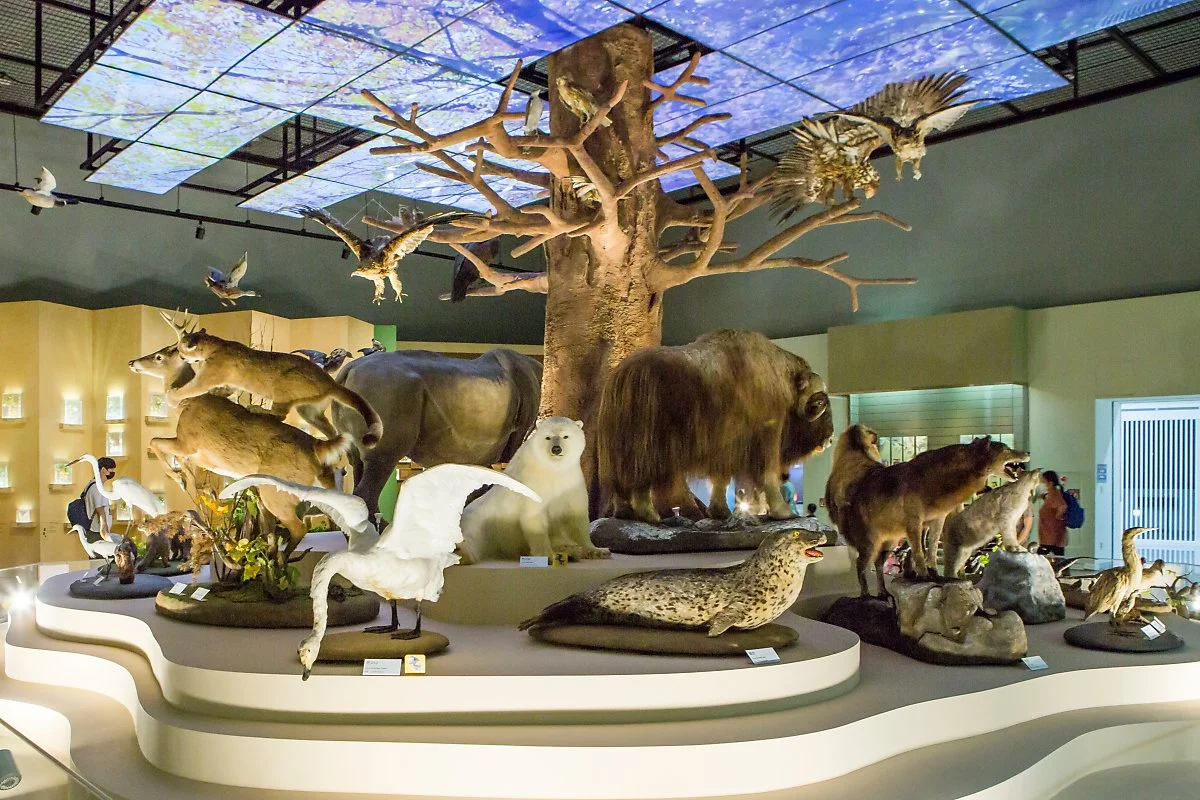 %EB%AA%A9%ED%8F%AC%EC%9E%90%EC%97%B0%EC%82%AC%EB%B0%95%EB%AC%BC%EA%B4%80__%EC%A0%95%EC%9D%80%EC%A3%BC_%282%29.JPG?type=w1200