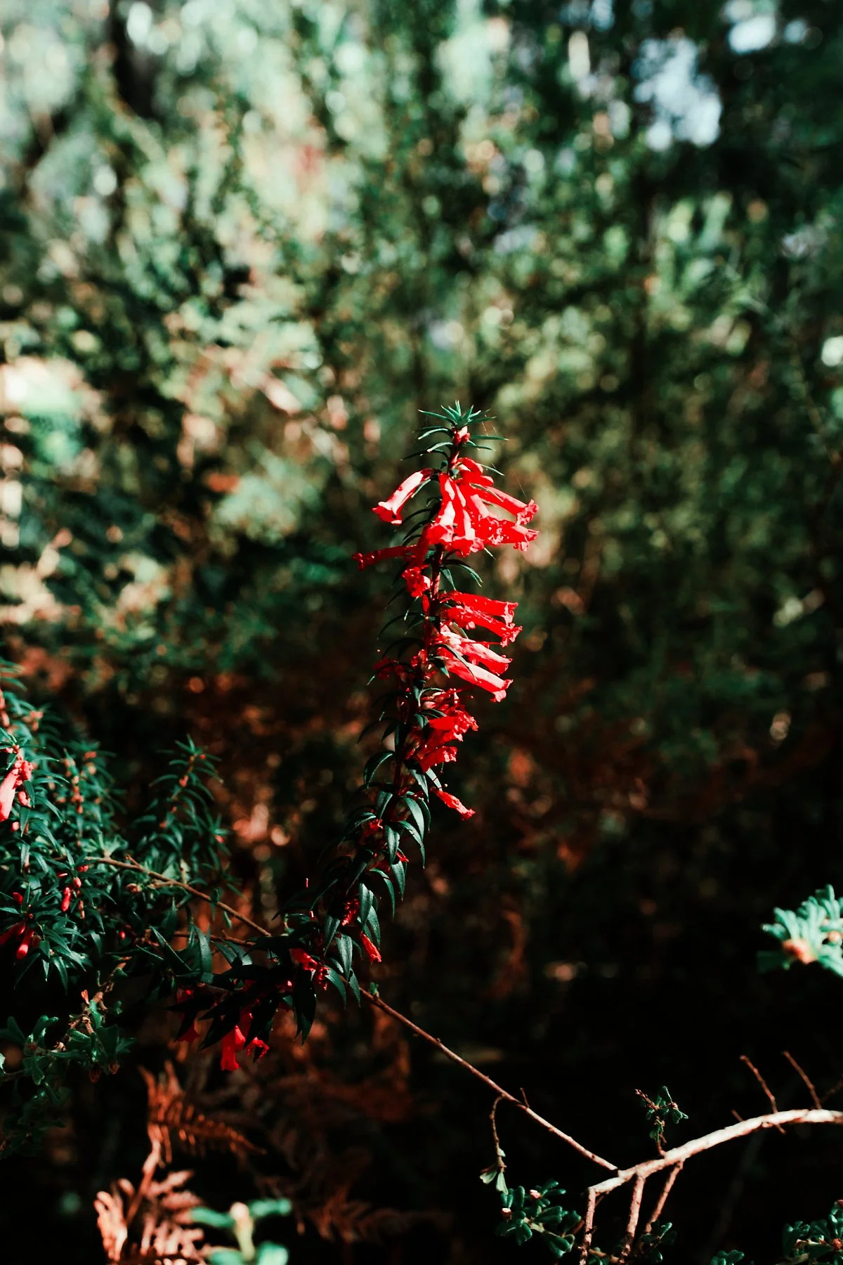 %EA%B7%B8%EB%9E%A8%ED%94%BC%EC%96%B8%EC%8A%A4_%ED%94%BC%ED%81%AC_%ED%8A%B8%EB%A0%88%EC%9D%BC_%283%29.jpg?type=w1200