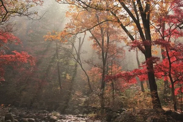 %ED%8F%AC%EC%B2%9C%EC%88%98%EB%AA%A9%EC%9B%90.jpg?type=w1200