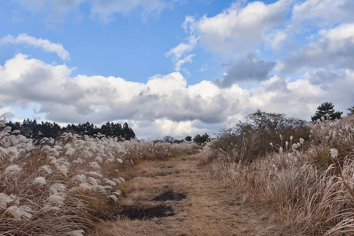 %EB%8F%99%EA%B2%80%EC%9D%80%EC%9D%B4%EC%98%A4%EB%A6%84_%283%29.jpg?type=w1200