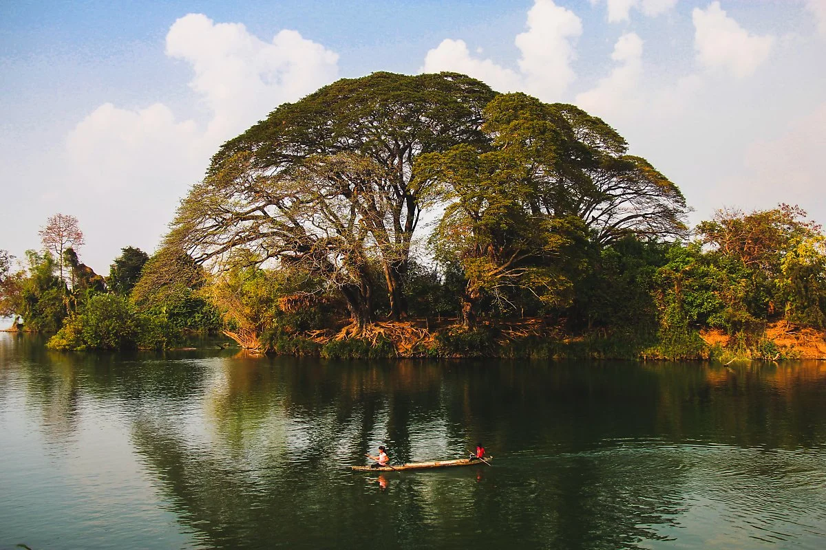 %EC%8B%9C%ED%8C%90%EB%8F%88_%EB%A9%94%EC%9D%B8.jpg?type=w1200