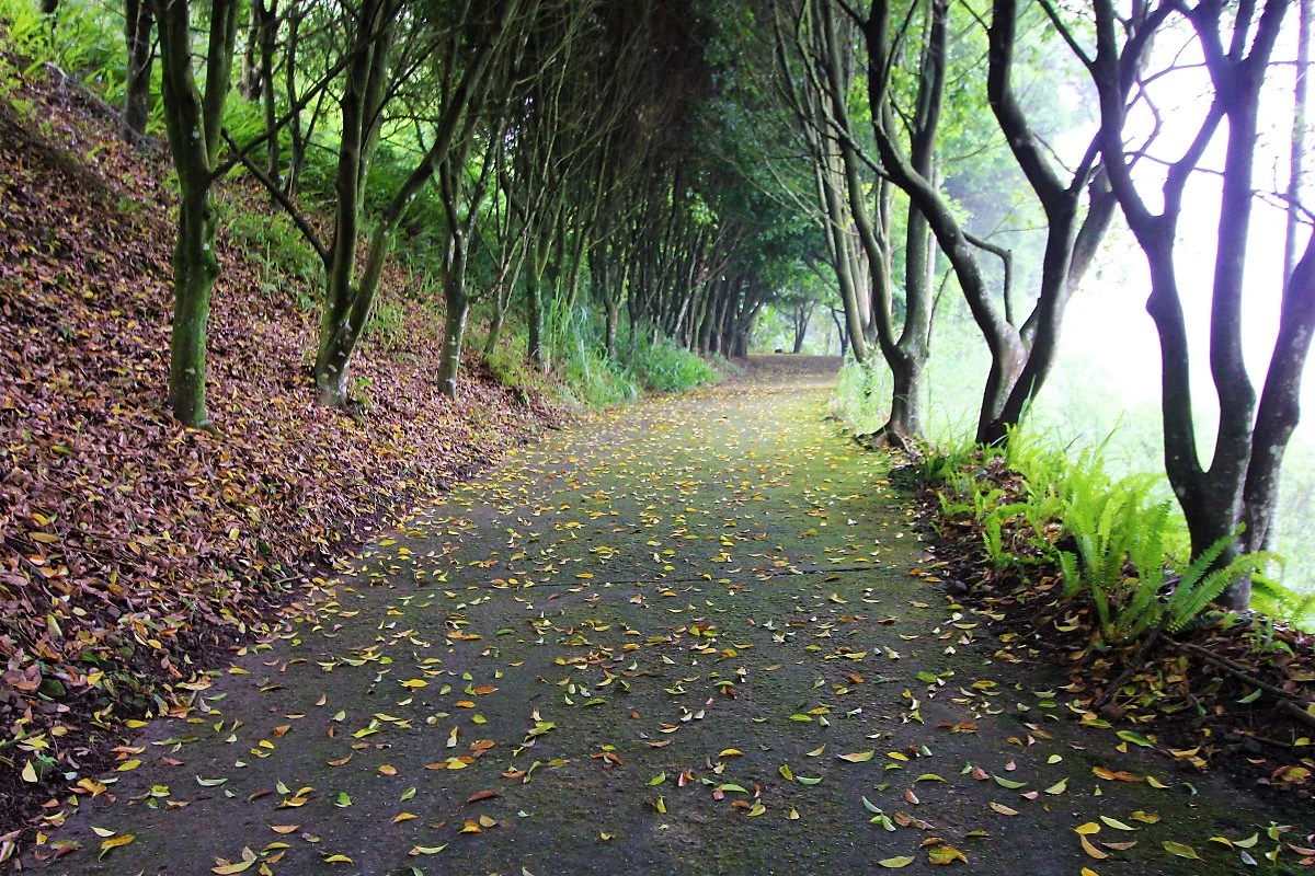 04%EB%AC%B4%EC%8B%A0%EC%B7%90_%283%29.JPG?type=w1200