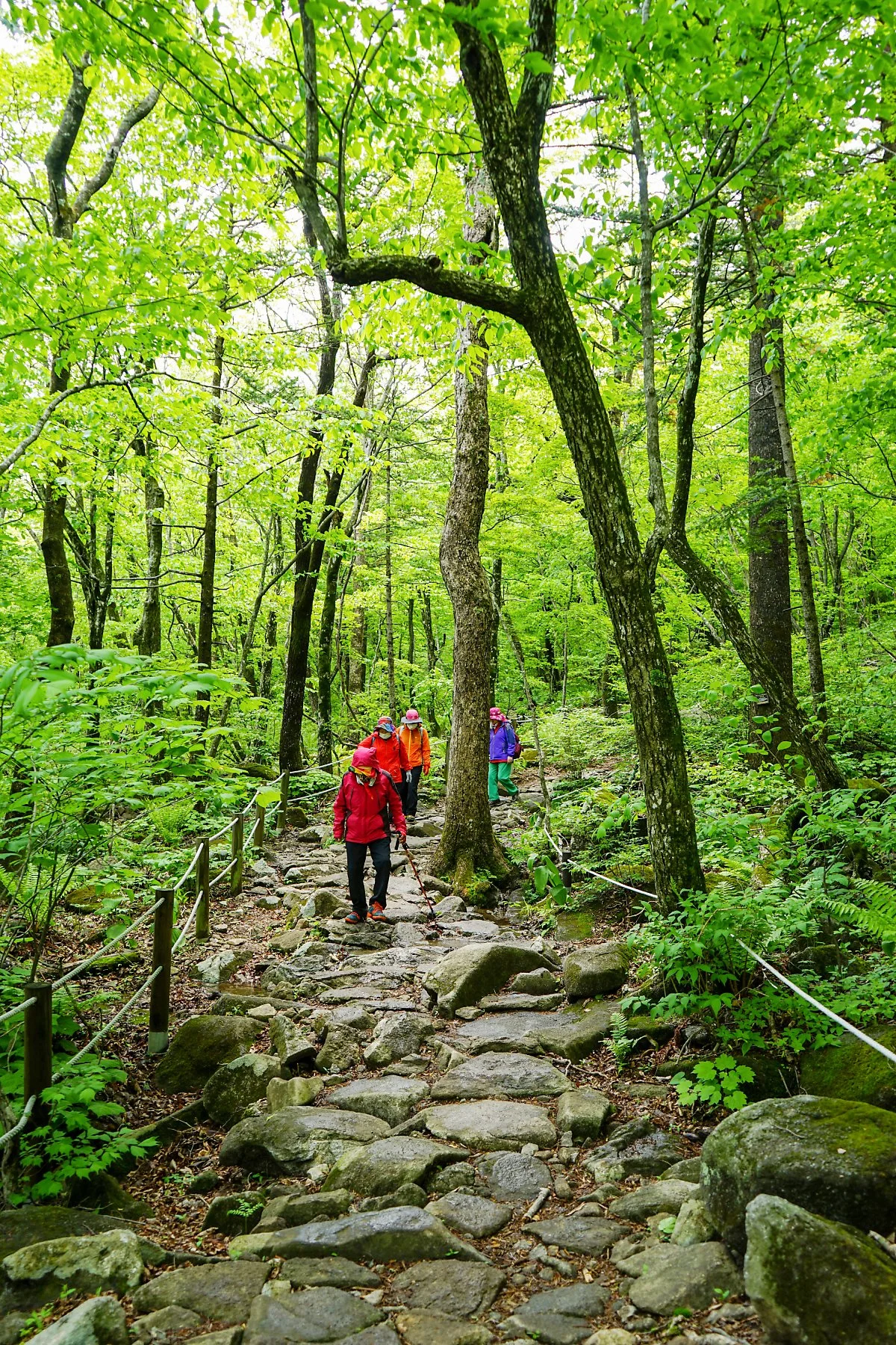 %EB%93%B1%EC%82%B0%EB%A1%9C_%286%29.JPG?type=w1200