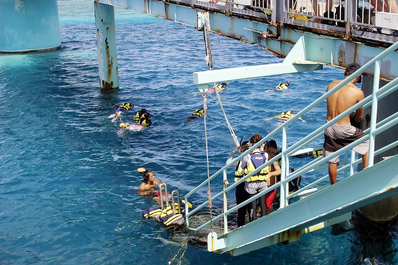 스노쿨링 (4).JPG