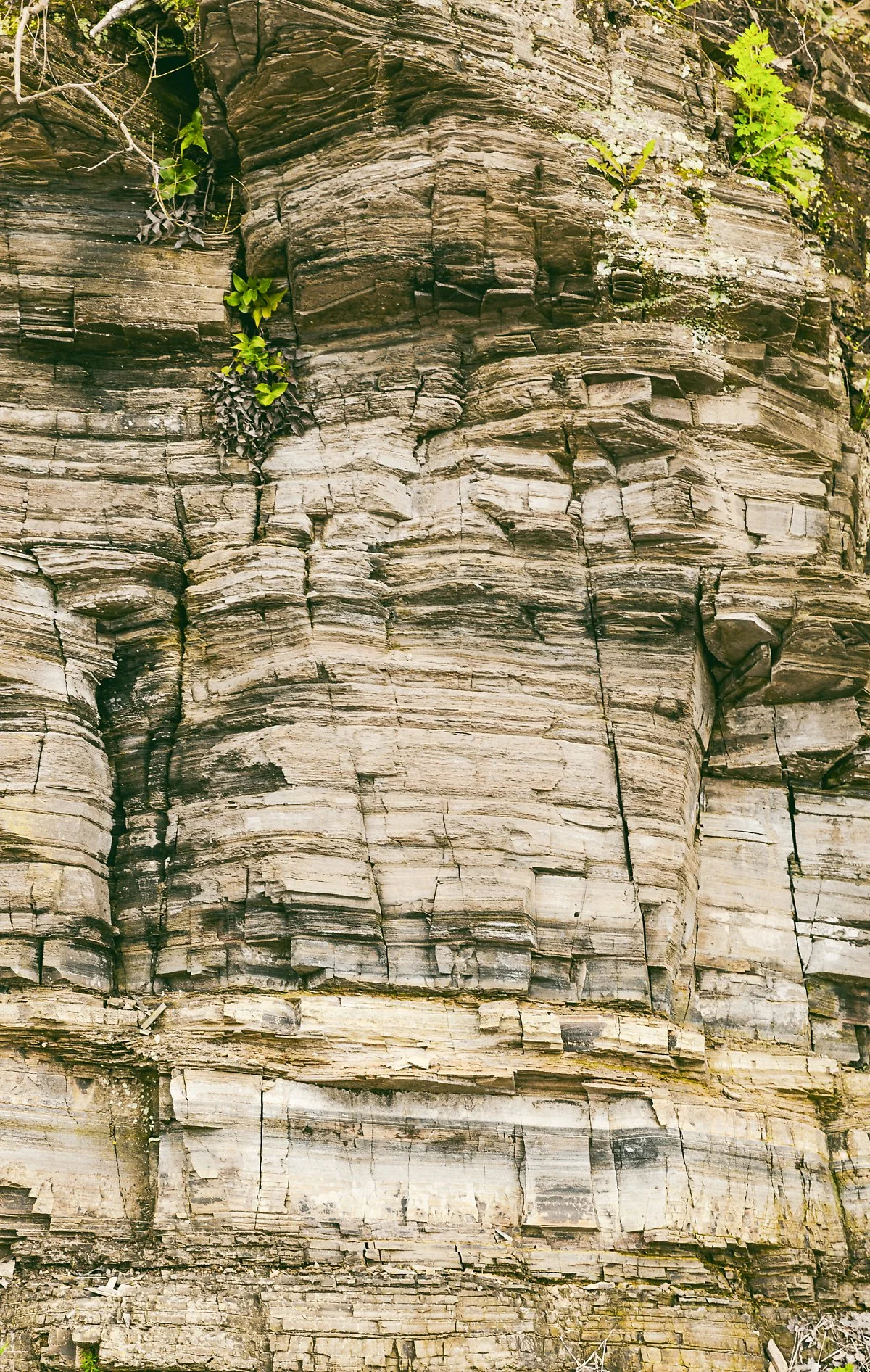 686A9991.jpg?type=w1200