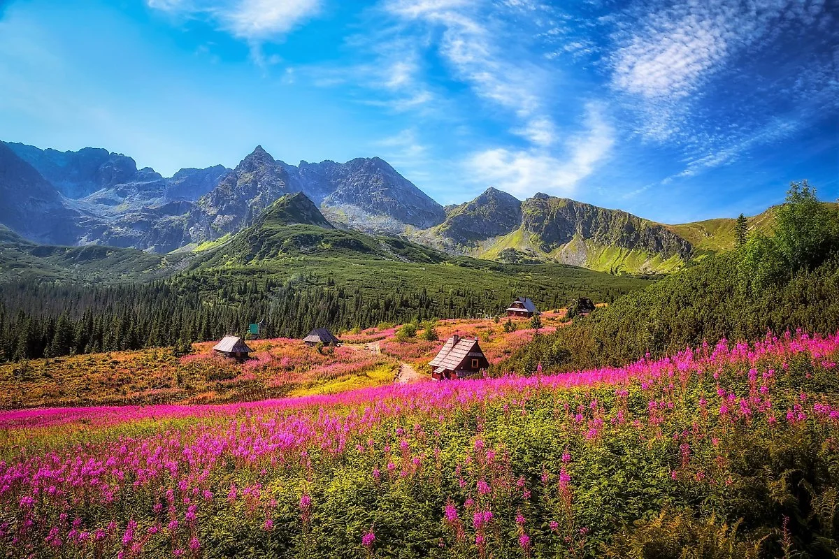 22_36.JPG?type=w1200