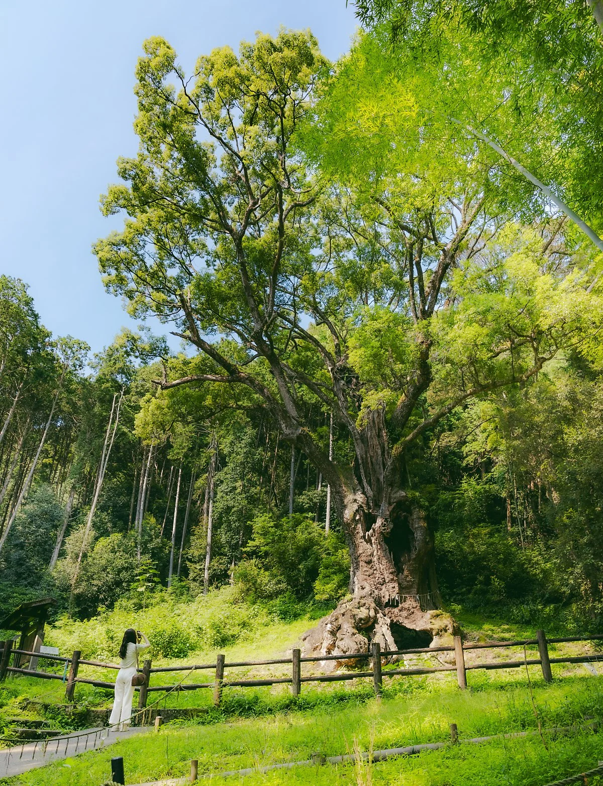 %EB%8B%A4%EC%BC%80%EC%98%A4%EC%8B%A0%EC%82%AC%282%29.jpg?type=w1200