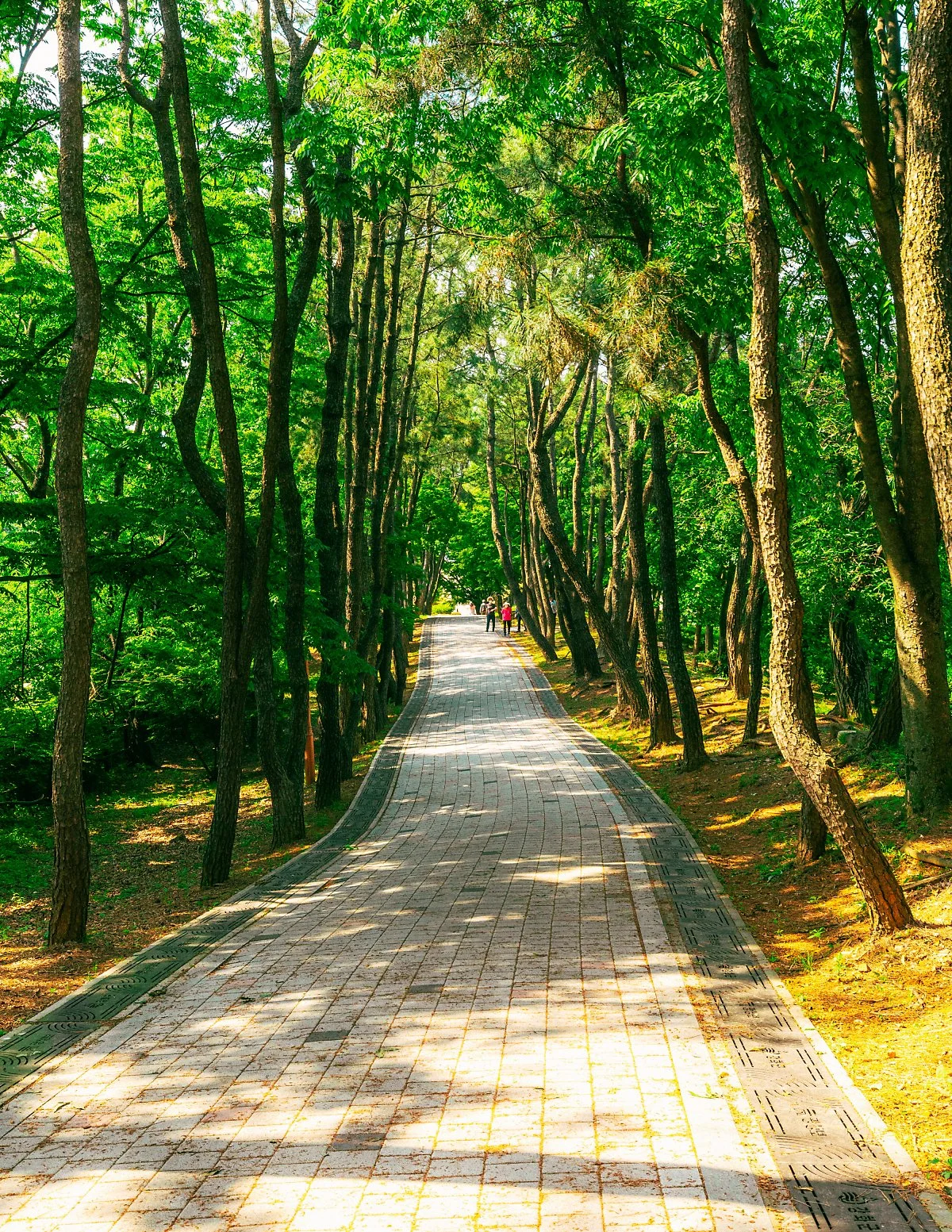 d_%EA%B4%91%EC%84%B1%EB%B3%B4_1.JPG?type=w1200