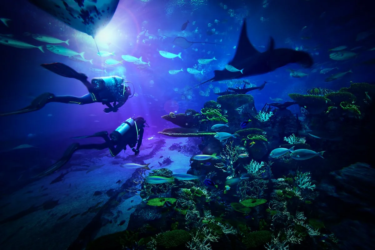 HTL1125_Twilight_Dive_Package_v1.jpg?type=w1200