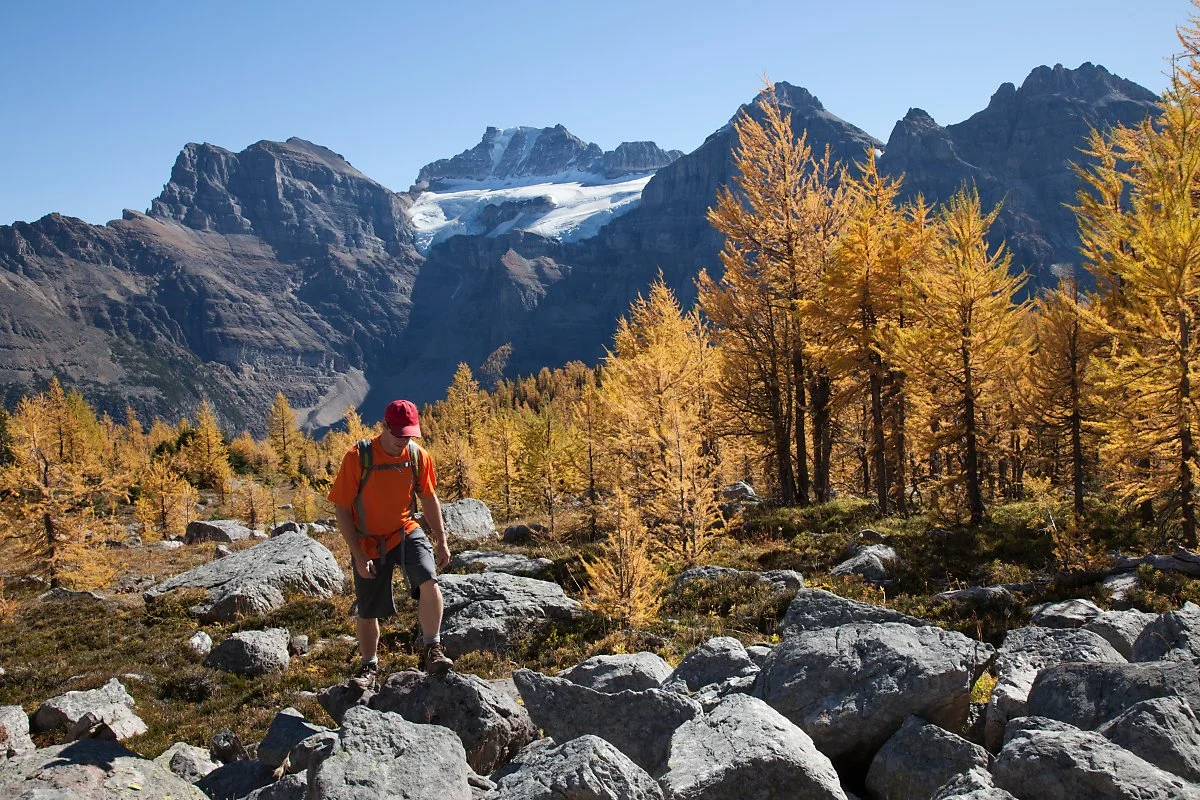 %EB%B0%B4%ED%94%84_%EA%B5%AD%EB%A6%BD%EA%B3%B5%EC%9B%90_%EC%82%AC%EC%A7%84_%EA%B5%90%EC%B2%B4.jpg?type=w1200