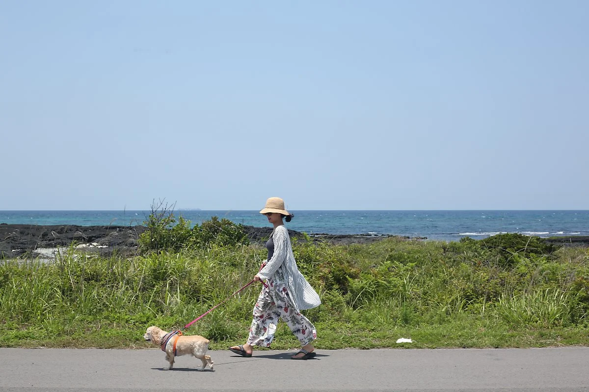 BJ6A3503.jpg?type=w1200