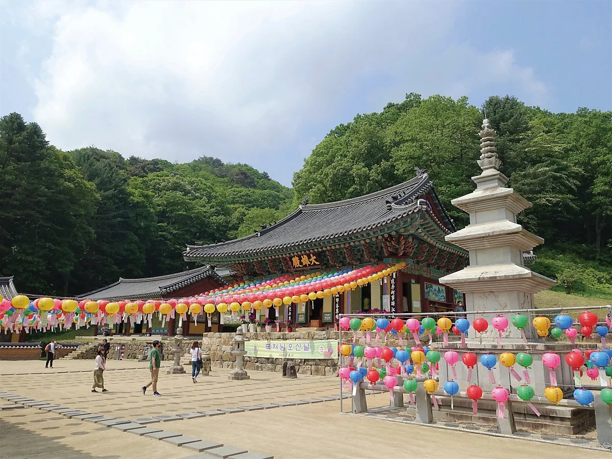 %EC%9B%90%EC%A3%BC%EA%B5%AC%EB%A3%A1%EC%82%AC_%EA%B9%80%EC%84%A0%EC%A3%BC_202005_%2821%29.JPG?type=w1200