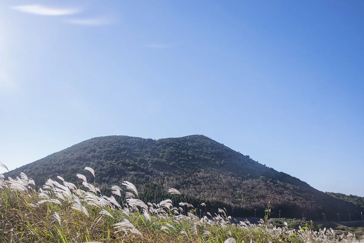 %EC%95%84%EB%81%88%EB%8B%A4%EB%9E%91%EC%89%AC_002.jpg?type=w1200