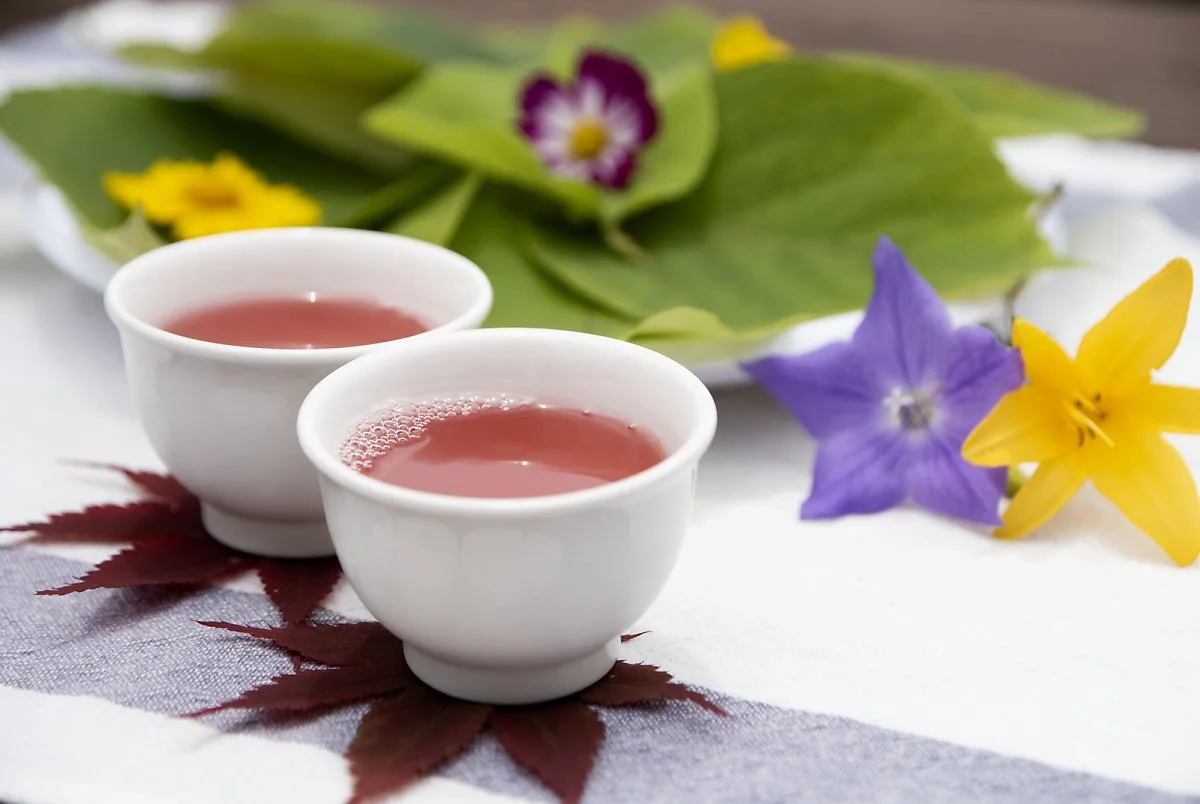 12-3_%ED%95%A9%EC%B2%9C_%EC%98%A4%EB%8F%84%EC%82%B0_%EC%B9%98%EC%9C%A0%EC%9D%98_%EC%88%B2.jpg?type=w1200