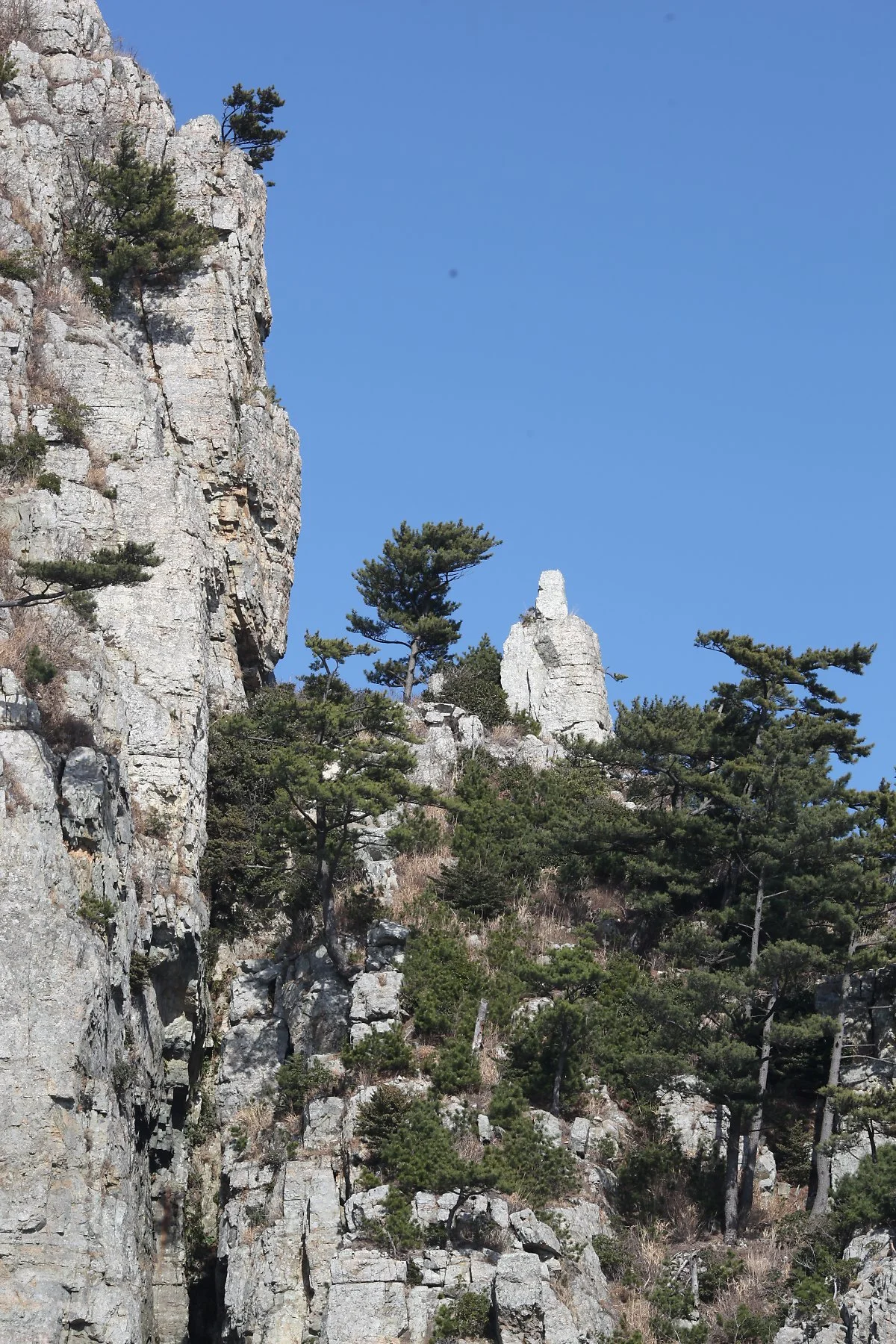 %ED%95%B4%EA%B8%88%EA%B0%95_%287%29.JPG?type=w1200