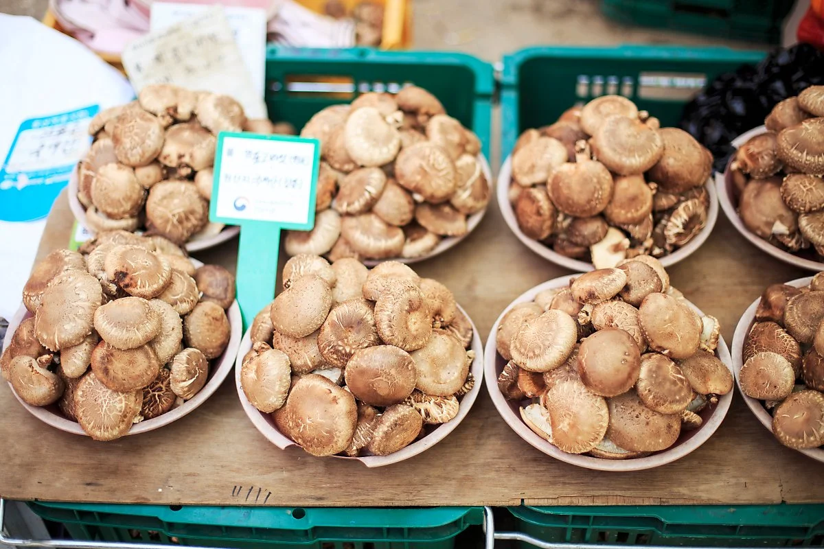 %EC%9E%A5%ED%9D%A5%EC%A0%95%EB%82%A8%EC%A7%84%ED%86%A0%EC%9A%94%EC%8B%9C%EC%9E%A5_%EA%B9%80%EB%8F%84%ED%98%95_%281%29.JPG?type=w1200