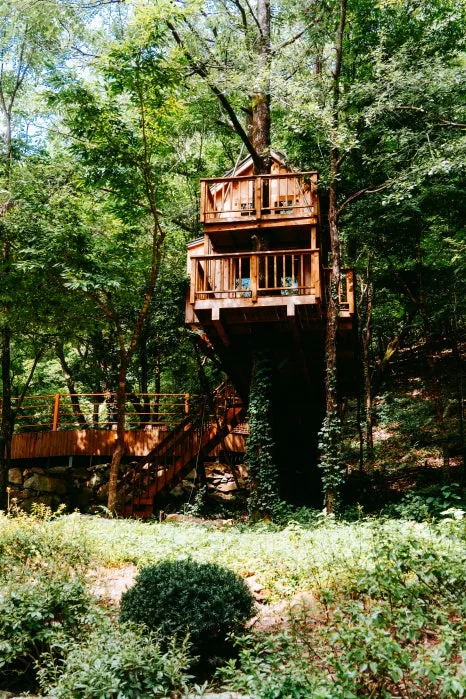 %ED%81%AC%EA%B8%B0%EB%B3%80%ED%99%98%EB%AC%BC%EC%86%8C%EB%A6%AC%EC%83%9D%ED%83%9C%EC%88%B2_(21).jpg?type=w466