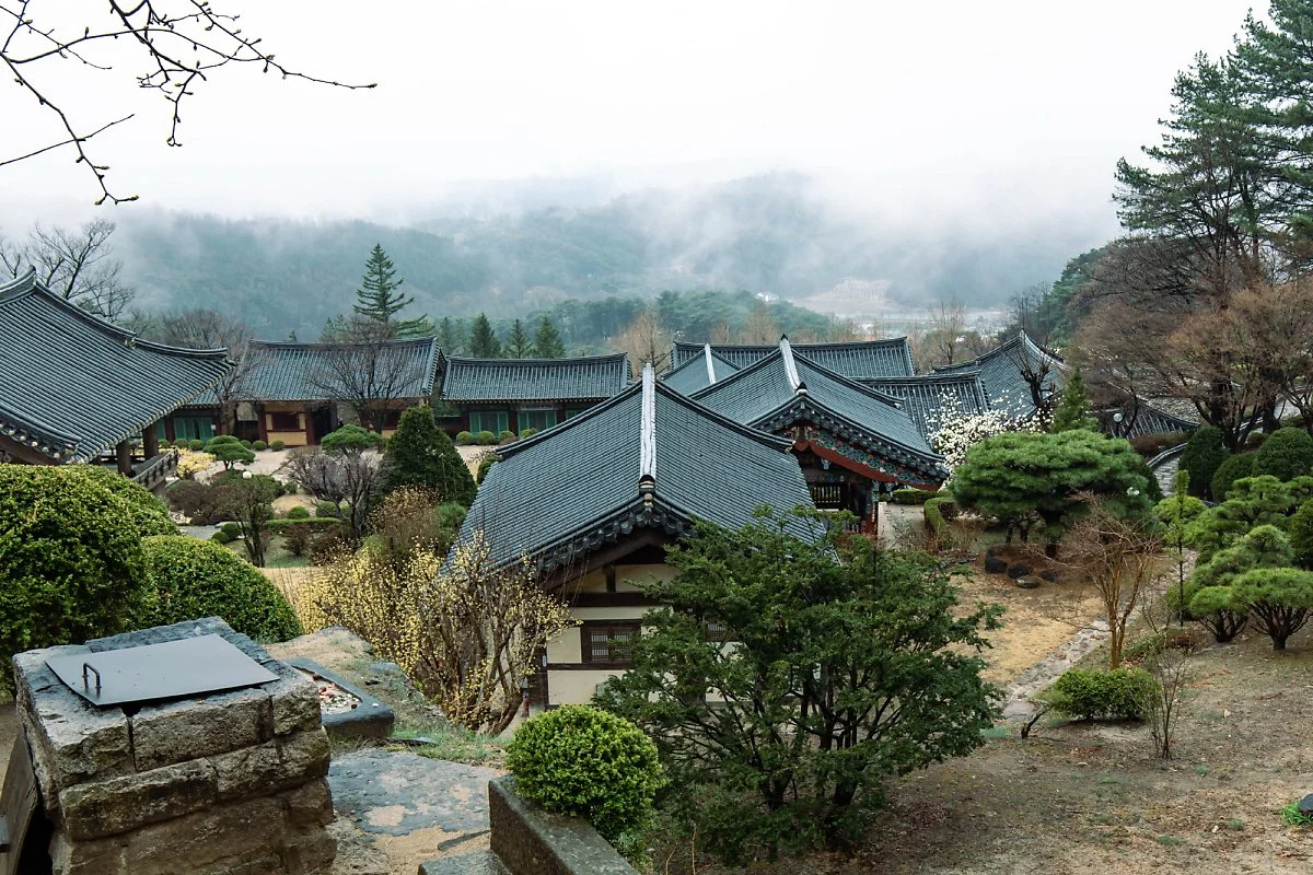 %EB%B6%80%EC%84%9D%EC%82%AC_%283%29.jpg?type=w1200