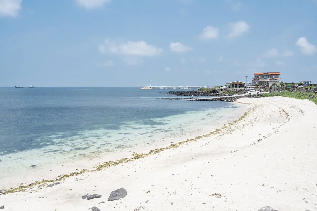 8_%ED%99%8D%EC%A1%B0%EB%8B%A8%EA%B4%B4_%ED%95%B4%EB%B3%80%2C_%ED%8C%8C%EC%8A%A4%ED%85%94%ED%86%A4_%ED%8C%8C%EB%9E%80%EC%83%89%EC%9D%84_%EB%A7%8C%EB%82%A0_%EC%88%98_%EC%9E%88%EB%8B%A4.jpg?type=w1200