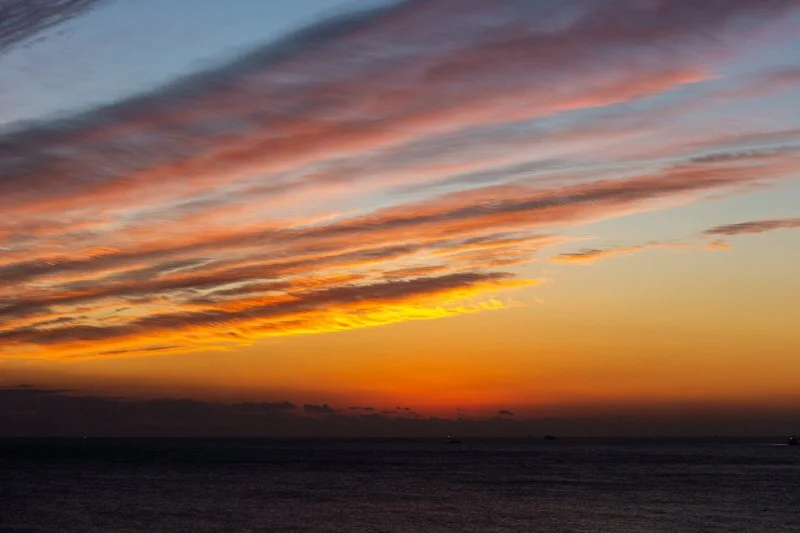 F96A7715.jpg?type=w1200